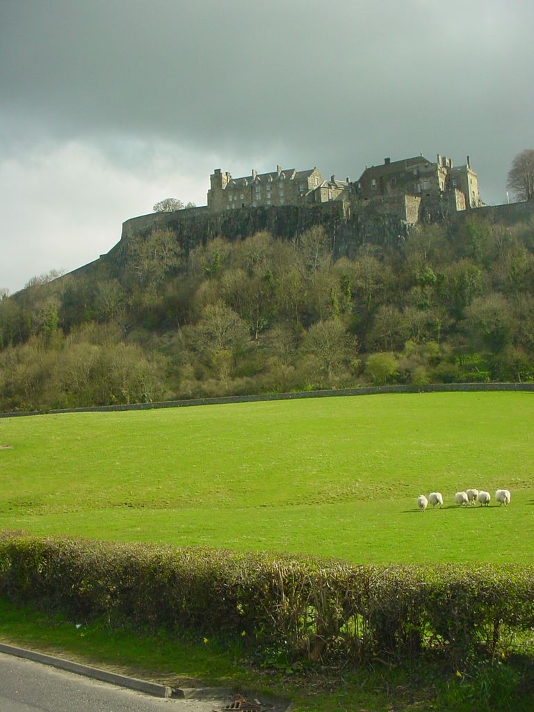 Stirling castle (83)